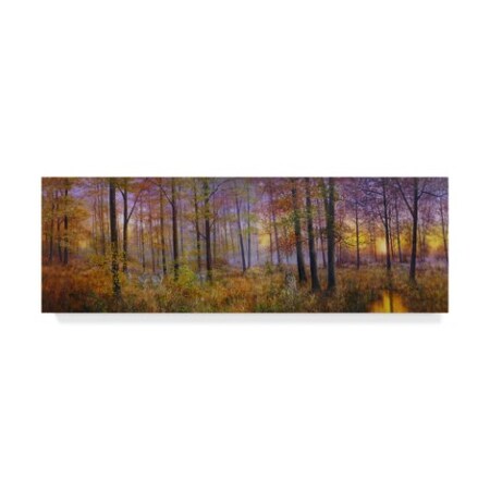 Bill Makinson 'Autumn Wolves' Canvas Art,10x32